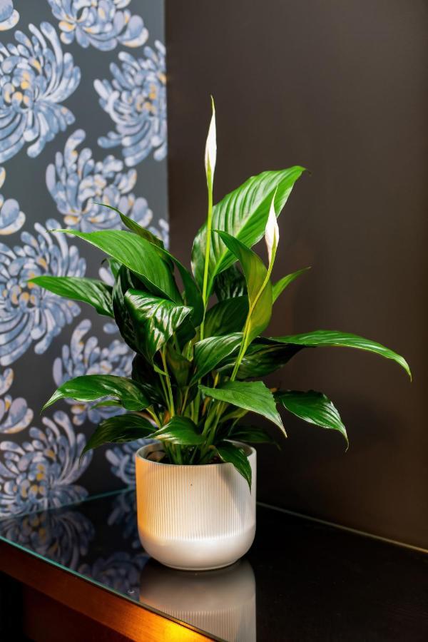 Apartament Nowowiejska By Renters Warszawa